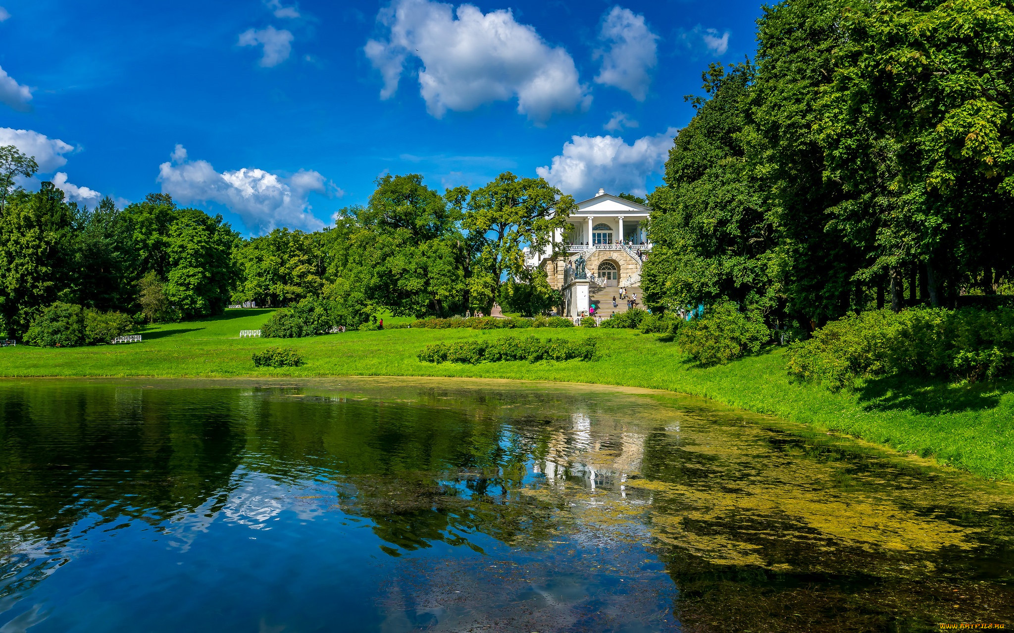 catherine palace of pushkin, , -,   , , 